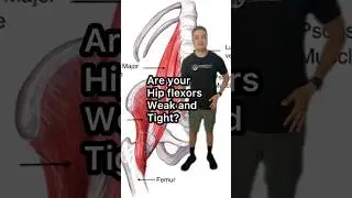 Hip flexor strengthening and stretching exercises. #lowbackpain #hipstretches #physio