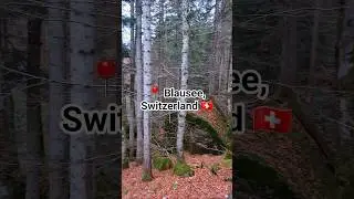 📍 Blausee, Switzerland 🇨🇭 #travelexplorelove #blausee #travelswitzerland #naturalovers #hiddengems