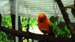 Zaksee Bird Sanctuary