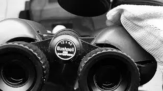 12x Binoculars Bushnell 12x42 review sample image бінокль lornetka fernglas