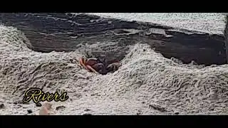 Pedasi Isla Iguana wildlifelife Refuge Pedasi Marketing (3)
