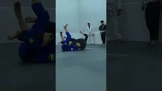 a esta le dicen el torombolo #bjjtripping #bjj #jiujitsu #isuckatjiujitsushow