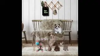 Durable Dog and Cat Toys | Long-Lasting Chew Toys #shoppetstuff #dog #cat