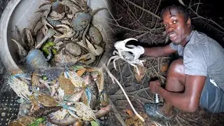 River Hunting For Big Land Crabs | This Happened | Camping On The Farm | Must Watch🇯🇲💯