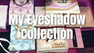 My Eyeshadow Palette Collection