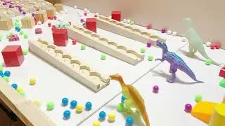 Marble Run ASMR ☆ Create Marble Slope With Two Wooden Table #shorts