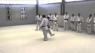 Judo Foot Sweeps with Zdenek Matl