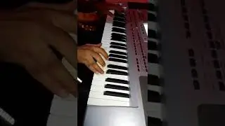 Korg pa 80