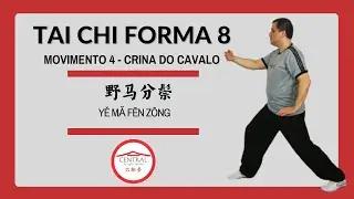Tai Chi Chuan - Vídeo - 14   Separar a Crina do Cavalo