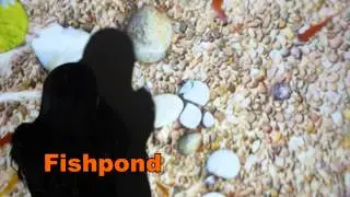 Interactive projection system