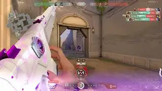 Zed Guardian Ace