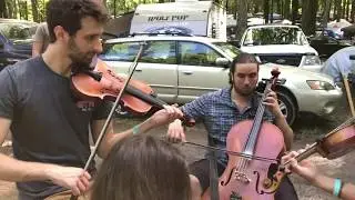 Hog-Eyed Man - Megan McGarry and friends - 2 fiddles, a banjo, & cello - Clifftop 2018