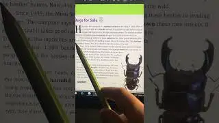 Bugs for sale