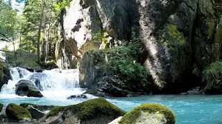 Forest Relaxing Music 🌿 1 5 Hours of Deep Focus, Healing Calm & Better Circulation