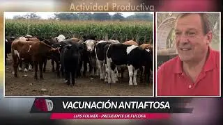 Luis Folmer, FUCOFA, primera parte.