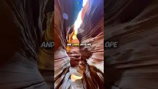 Antelope Canyon &ndash; USA&rsquo;s Stunning Natural Wonder #shorts #viralshorts #ytshorts