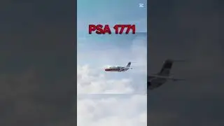 Imagine causing a #planecrash because you #rage lol #plane #aviation