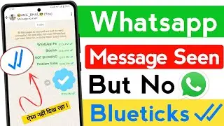 Whatsapp Message Seen But No Blue Ticks Problem | Whatsapp Message Seen But No Blue Ticks