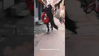 |Charak Puja | hajra chalan |  #hajra #dance #charakpuja2025 #funk