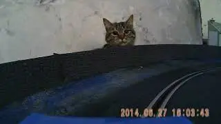 Monster appears at Slot Car Track