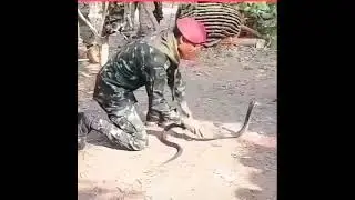 para commando vs cobra commando training Snake catch