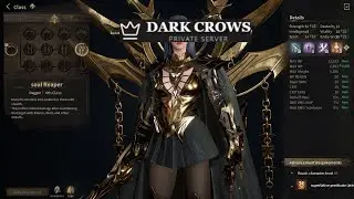Dark Crows Private Server(Night crows)