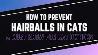 How To Prevent Hairballs In Cats: A Must Know For Cat Owners