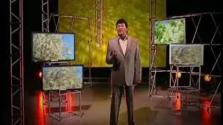 Фидан Гафаров  Кара муйыл сэскэhе Башкирский клип  башкирская песня
