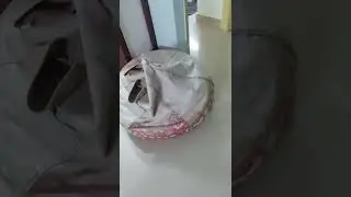 Bed bugs Repallent | Pest Control | mosquito killer | Cockroach control | Lizard Control