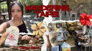 WANDERING TAIPEI ZOO & VIRAL CRISPY DONUTS | Day 7 - Taiwan Tour 2025 (eng/ind) 🦛