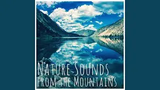 Nature Sounds from a River, for Deep Focus