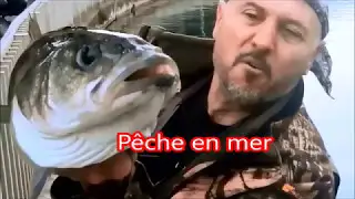 Antomickalement votre/Favoris-1/  ANTOMICOU FISHING