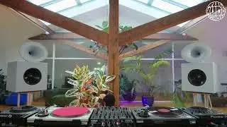 Yuzo Iwata | themuddshow