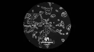 Spaaax, MZR - Sleep Mode (MZR Remix) ~ [Synergie]