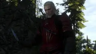 The Witcher 3 Witcher Contract: Missing Son