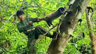 Survival, survival skills, civet trap skills, jungle life | Survival by instinct