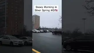 Drop of #snow in #silverspring #maryland #usa