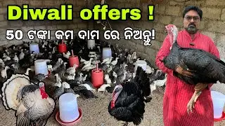 diwali offers ! ଟର୍କ ସୀଲକି ଗିନିଫୋଲା 50 ଟଙ୍କା କମ ଦାମ ରେ ନିଅନ୍ତୁ!