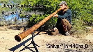 Deep Dark & Low - drilling the depths of sound with truly professional Didgeridoo: 