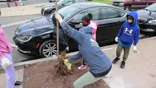 PECO Partners With PHS to Improve Greater Philadelphia's Tree Cover