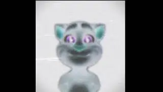 T R I B U T E