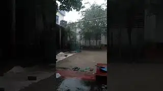 Rainy days