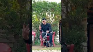 Какая собака вам нравится больше всего? #basemhunt #dog #rottweiler