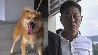 Terry Yee slapped with  RM8,000 fine for whacking Furby