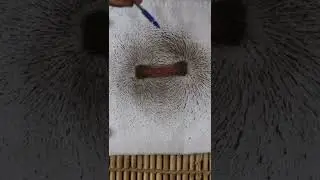 🧲Magnetic Field and Magnetic Field Lines🧲 | Chapter 13 Class 10 Science | Learn Practically