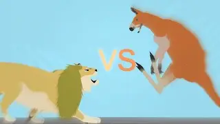 African lion vs red kangaroo
