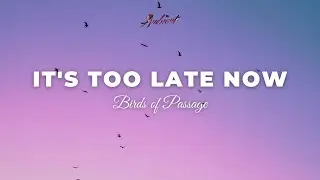 Birds of Passage - It's Too Late Now [meditation vocal ambient]