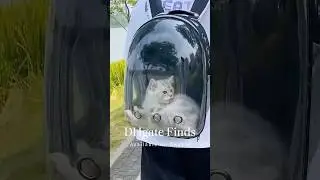 🐱 Space Capsule Cat Backpack for curious cat 👀#dhgate #dhgatefinds #petsupplies