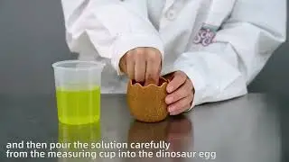 TopBright - Crystal Dinosaur Growing Kit Edaphosaurus - Playing method