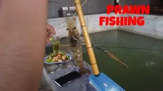 Prawn Fishing - Udon Thani Thailand
